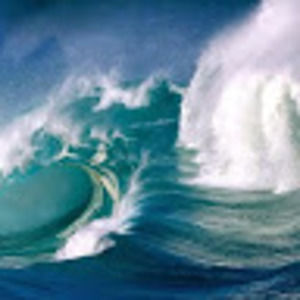 Meet your Posher, Andre